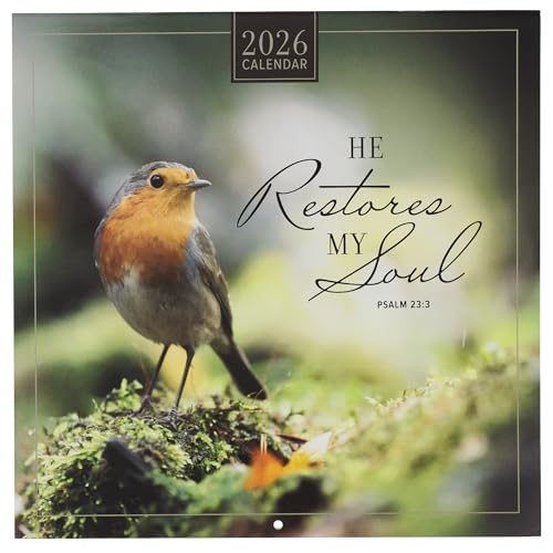 NX`A[gMtg傫ȃCXs[V^Ǌ|J_[BjƏ:Restore My Soul ܂̐̈߁AAF̒Ɩ؂̃e[}