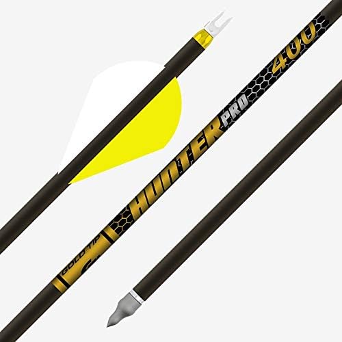 Gold Tip ARROW, HUNTER PRO (.246) 500 2" Raptor Vanes (DZ) No Nock Collars