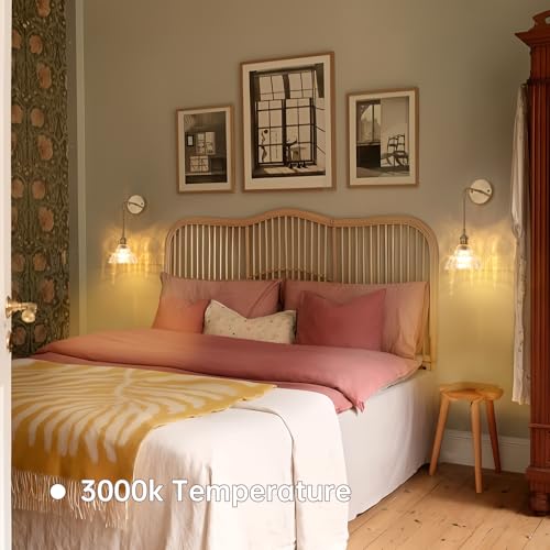 Image of Shenmoyl Battery Operated Wall Sconce Wall Lamp with Clear Lily of the Valley Shade Pattern Glass Adjustable Chain Retro Gold Wall Light, Modern Wall Lamp Fixtures Decor for Bedside Bedroom