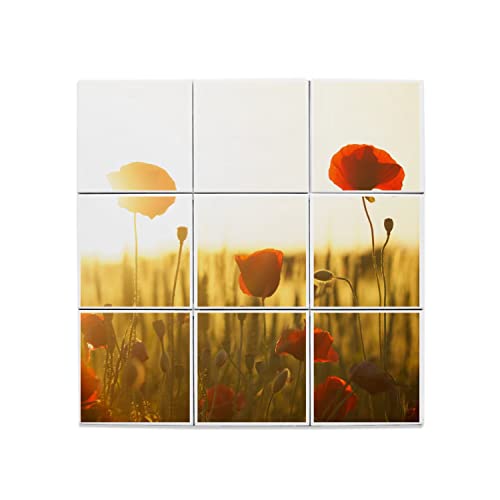 Carreaux céramique coquelicot 20x20 floral décoratif prairie soleil tableau mural de faïence