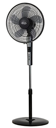 Argoclima 398200011 Ventilador de pie, pantalla LED y mando, 240 V, Negro, 155 cm