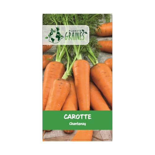 150 graines de carottes chantenay - carottes orange à coeur rouge - variété ancienne