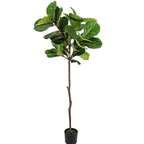 UNIQUE FOREST ARTS Artificial Tree,Artificial Plant, Artificial Fiddle Leaf Fig Tree, 6-Feet, 4-feet,Green (Size:70" high 35" Wide) Cover