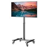 Mobile TV Cart with Wheels for 13-40 inch LED LCD Flat/Curved Screen TVs, Rolling/Floor TV Stand wit