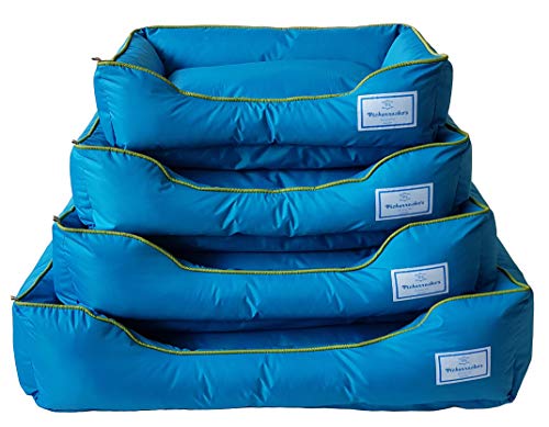 Cama Clean Blue 01 Pickorruchos para Cães, 01, Azul