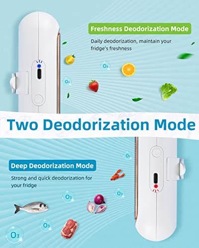 Seancheer Fridge Deodorizer, Mini Usb-C Rechargeable Reusable Refrigerator Deodorizer, Refrigerator Odor Eliminator With Hook Lanyard For Fridge Wardrobe Shoes Cabinet #TOP3