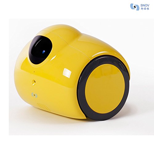 The 30 Best Security & Surveillance Robots of 2023 [Prime Deals