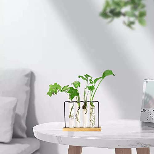 Planter Terrarium Flower Vase With Wooden Stand For Propagating Hydroponic Plants Home Garden Office Decor (Style3) #TOP6