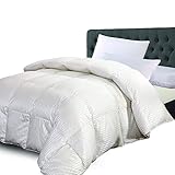 sheetsnthings Striped 900-Thread-Count, Silk-Blend Extra Warm, Heavy Full-Queen Goose Down Comforter, Cream