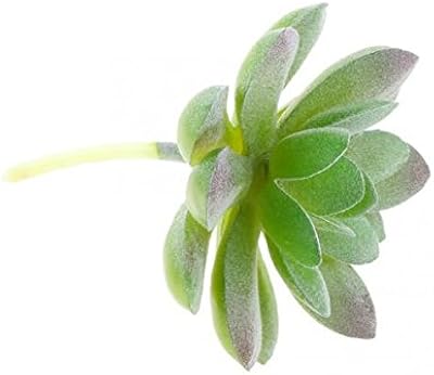 Amazon Fenteer 人工多肉植物 ミニ蓮 花 植物 家庭 菜園テーブル 装飾 自宅 ホテル 庭 カフェ 05 人工観葉植物 オンライン通販