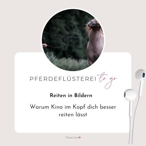 Reiten in Bildern: Warum Kino im Kopf dich besser reiten l&auml;sst