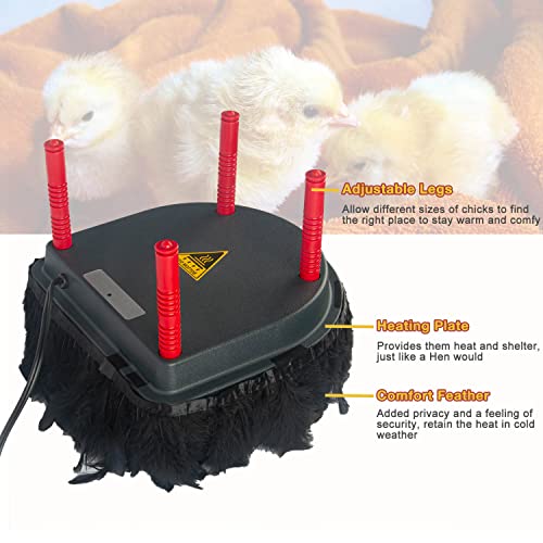 Hantop Chick Brooder Heating Plate with Comfort Feathers, Chicken Coop Warmer Pad Adjustable Height Poultry Incubator Heater Plate, Warms Up to 15 Chicks - 13 Watts (10\" x 10\")