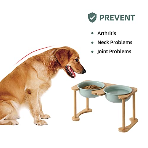 How High Should A Raised Dog Bowl Be