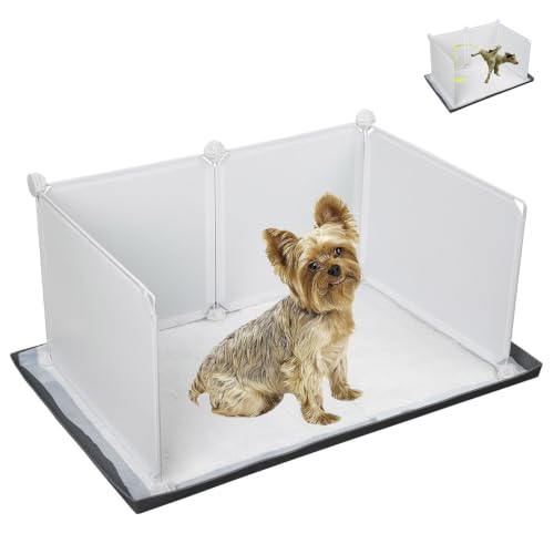 Are corgis good beginner dogs