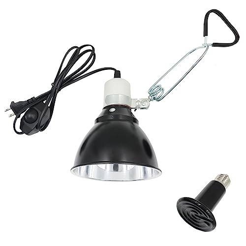 10 Best Light Bulbs to Keep Your Dog House Warm and Cozy