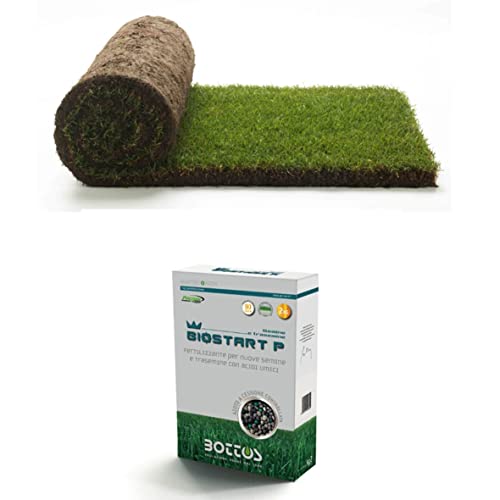 Fertilizzante starter Bottos Biostart P kg 2