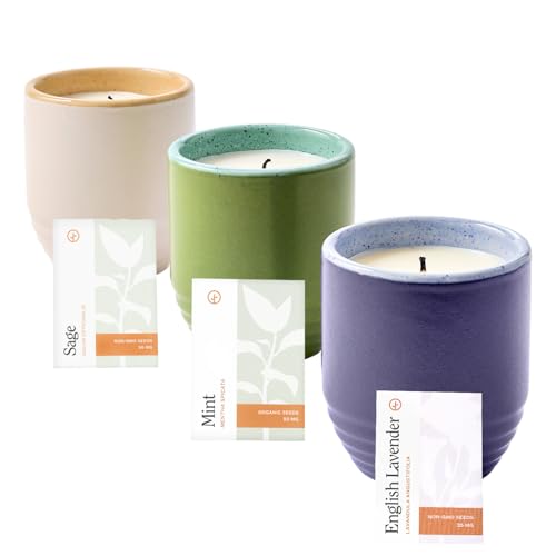 Modern Sprout Garden Vibes 2-in-1 Soy Candle & Planter -