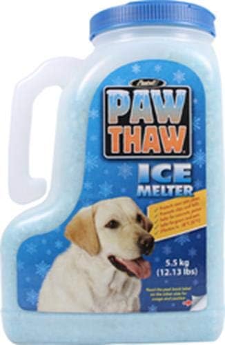 Dog Safe Ice Melts - Is Ice Melt Dangerous? (2023) Lorem Ipsum