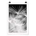 Bilderwelten Poster Wall-Art Murale - Denti di Leone - Carta Adesiva 90 x 60cm