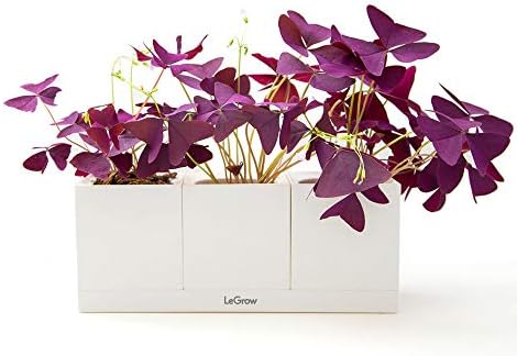 LeGrow Smart Garden Indoor Planter Starter Kit - 3 Patented Design Plant Pots,1 Water Holding Base Tray - (Plants Not Included)