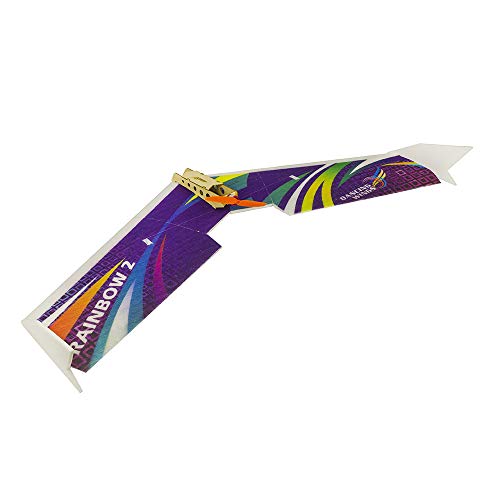 Avión RC de entrenamiento Rainbow Flying Wing II de 1000 mm para tardes de vuelo 7