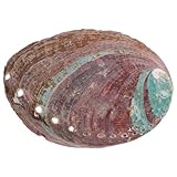 🦪chaque coquille d'ormeau est soigneusement sélectionnée à la main, a propre apparence unique et est unique au monde. Afin de mieux protéger la coquille d'ormeau, nous spécialement personnalisé un moule de protection pour éviter les frottements pendant le transport et les produits endommagés par collision.