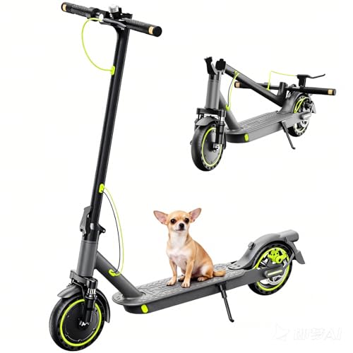 Monopattino Elettrico per Adulti con Sospensione Anteriore a Molla -