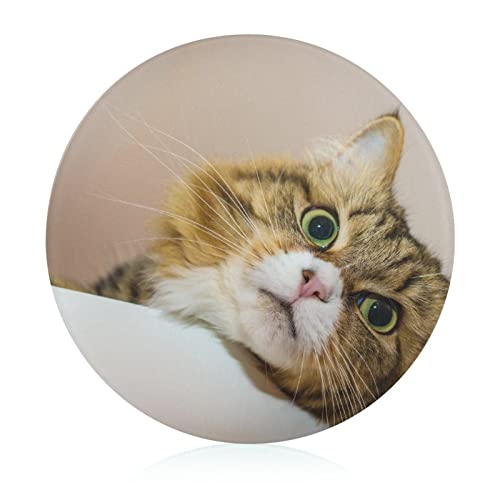 Planche à découper en verre chat mignon résistant à la chaleur 20 cm