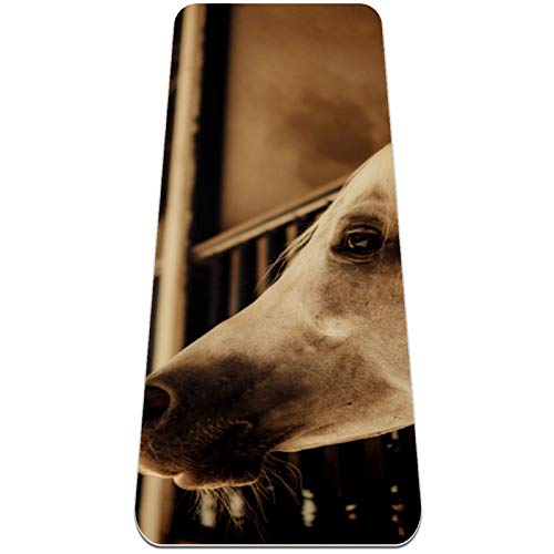 Eslifey Horse On Nature - Esterilla de yoga gruesa antideslizante para mujeres y niñas, tapete de ejercicio suave para pilates (72 x 24 pulgadas, 1/4 pulgadas de grosor)