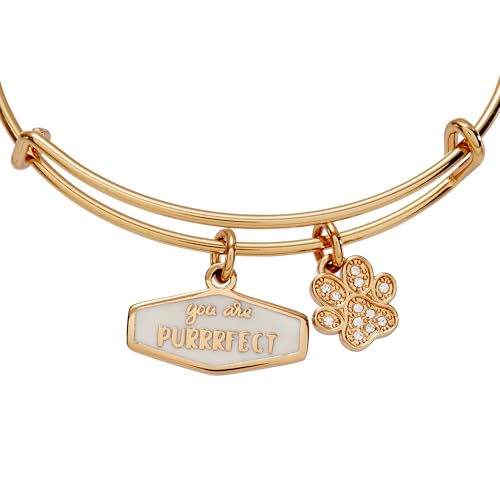 Image of ALEX AND ANI Pet Love Bracelets