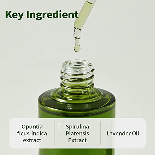 Whamisa CACTUSSERUM_01 Cactus Bouncy Serum - Hydrating thumb #4