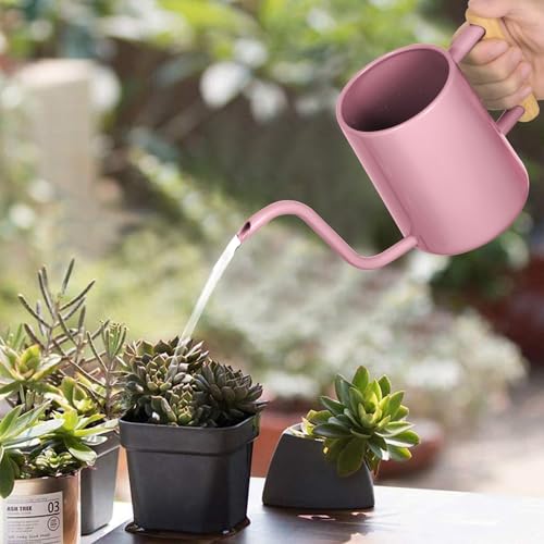 Image of Watering Can Indoor Plants, 35 oz /1000 ml Metal Stainless Steel Watering Can Pot with Long Spout for Indoor House Plants Bonsai Outdoor Garden Flower Decorative (Pink)