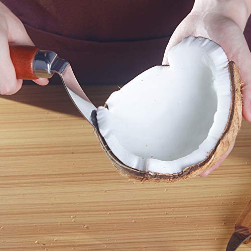 Hemoton 2 peças de removedor de carnes de coco abridor de coco de aço inoxidável abridor de coco ras