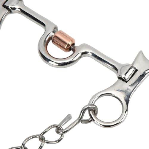 LIZHOUMIL Snaffle Curb Bit Stainless Steel Training Horse Bit Port Mouth with Copper Roller Engraved German Silver Trims BT1151 130mm