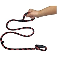 Slip Lead Dog Leash For Training - 14mm Thick, 150cm (60") Nylon Rope, Adjustable Slip Collar For Medium To Large Dogs - Olive Green