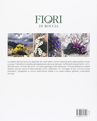 Fiori Di Roccia - 2