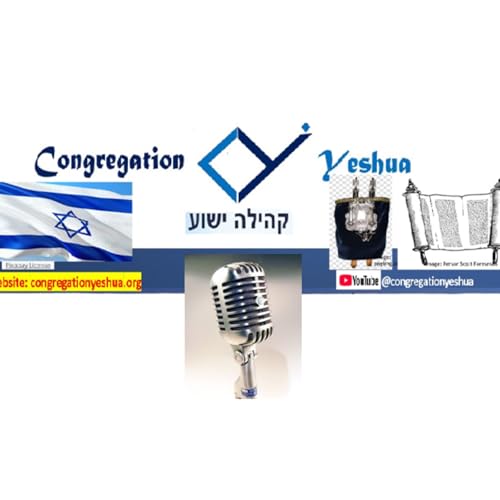 Shemini 5786 A call to Holiness Podcast By  cover art