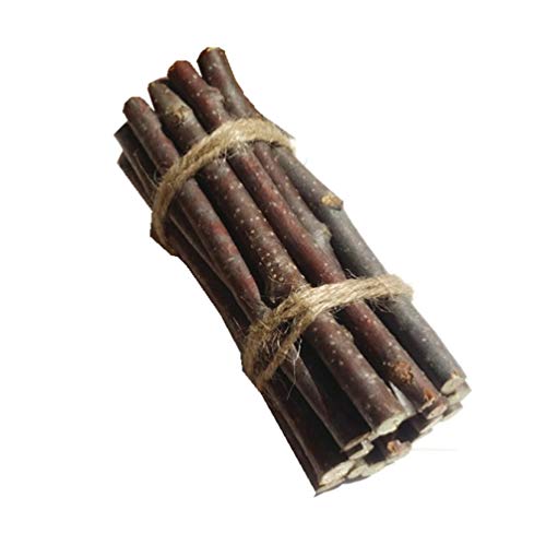 BESTOYARD 7PCS Wood Log Sticks 20CM DIY Crafts Natural Birch Twigs Craft Sticks Twigs Dried Tree Branches for Wedding Party Home Hotel Decoration