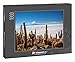 Produktbild fotopuzzle.de: Puzzle 1000 Teile Kakteen auf der Insel Incahuasi, Salar de Uyuni Salzfläche, Potosi, Bolivien