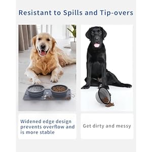 Collapsible Portable 2-in-1 Dog Bowl, Travel Dog Bowl Integrated, Silicone Foldable Expandable Food Water Bowl with Carabiner - Anti-Spill and Anti-Skid - for Camping/Traveling LPFLASAT (Grey) Collapsible Portable 2-in-1 Dog Bowl, Travel Dog Bowl Integrated, Silicone Foldable Expandable Food Water Bowl with Carabiner – Anti-Spill and Anti-Skid – for Camping/Traveling LPFLASAT (Grey)