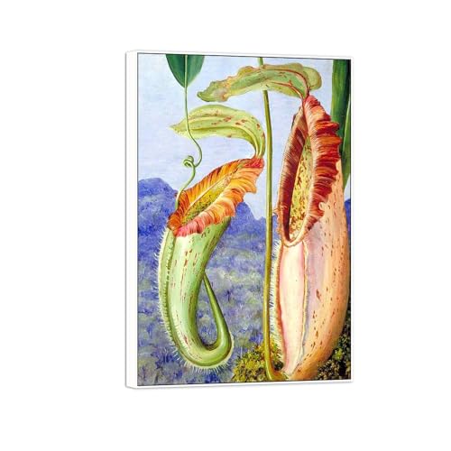Impression toile Marianne North : tableau haut de gamme de plantes de montagne avec cadre blanc