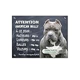 En aluminium (ne rouille pas) Plaque American Bully gris à ce jour attention au chien panneau je monte la garde pancarte en aluminium déco