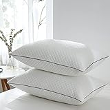 Pillows Queen Size Set of 2,Luxury Velvet Hypoallergenic Bed Pillows for Sleeping, Hotel Fluffy Pillow Set, Soft Firm Adjustable Down Alternative Pillows for Side, Back, Stomach Sleepers -20'x30'