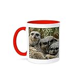 3dRose Meerkats, Louisville Zoo, Louisville, Kentucky - US18 AJE0300 - Adam Jones 11oz Two-Tone Red Mug