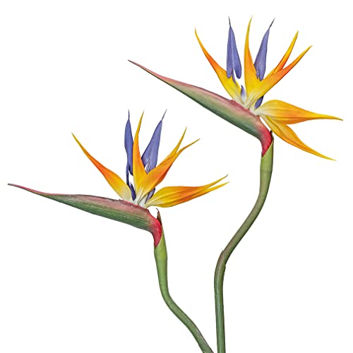 Duyone Artificial Flowers Bird Of Paradise 37'' Large Latex Fake Greenery Plants Long Stem Red Plants 2Pcs For Home,Living Room,Bedroom,Dining Table(Orange 2Pcs) #TOP26
