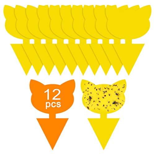 12 Pack Sticky Trap Gnat Killer Indoor, Fungus Gnat Traps Fruit Fly Traps, Plants Sticky Traps, Gnat Killer Outdoor, Fruit Flies Killer and Insects Bug Killer