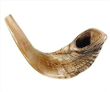 Half-Polished Original Shofar | Authentic Rams Horn Shofar | Jewish Blowing Horn from Israel, 15"-17"