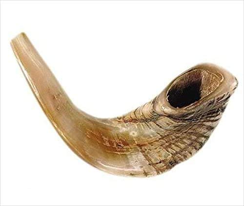 Majestic Giftware Ram’s Horn Shofar from Israel (SH1), Kosher with Natural Finish & Quality Sound - Perfect Jewish Gift for Rosh Hashanah and Bar Mitzvah, 9.8"-11.8" Long
