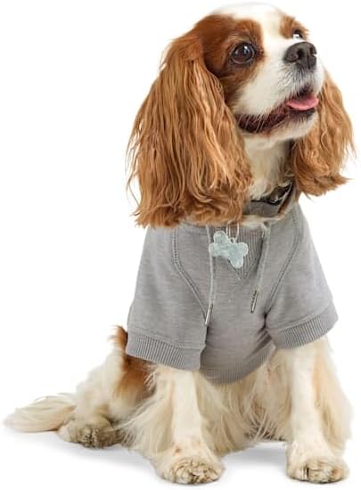 Reddy by Petco Ride or Die Dog Hoodie Small