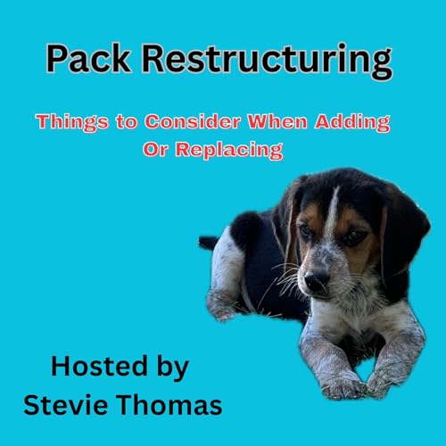 Restarting a Kennel: How I'm Rebuilding My Pack